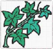 pattern Plants Flowers
