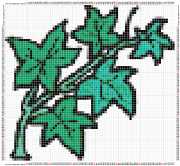 pattern Plants Flowers