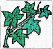 pattern Plants Flowers