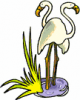 image  Animals 