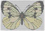 pattern Animals Butterflies