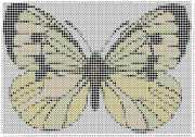 pattern Animals Butterflies