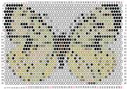 pattern Animals Butterflies