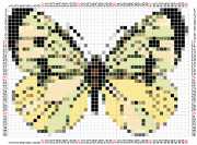 pattern Animals Butterflies