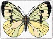 pattern Animals Butterflies