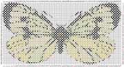 pattern Animals Butterflies