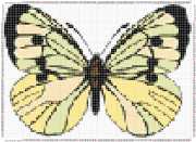 pattern Animals Butterflies