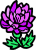 image  Plants Flowers