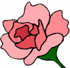 image  Plants Flowers