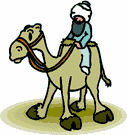 image Animals Camels