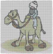 pattern Animals Camels