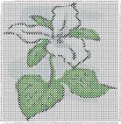 pattern Plants Flowers