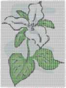 pattern Plants Flowers
