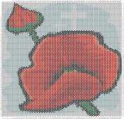 pattern Plants Roses