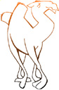 image Animals Camels