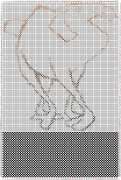 pattern Animals Camels