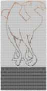 pattern Animals Camels