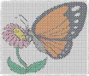 pattern Animals Butterflies