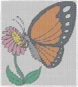 pattern Animals Butterflies