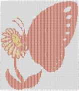 pattern Animals Butterflies