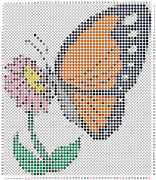 pattern Animals Butterflies