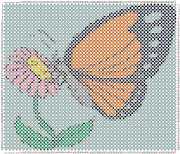 pattern Animals Butterflies