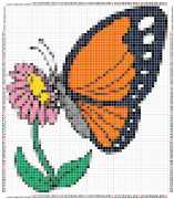 pattern Animals Butterflies
