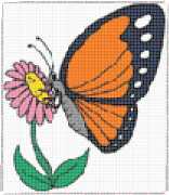 pattern Animals Butterflies