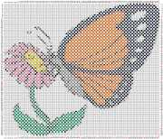 pattern Animals Butterflies