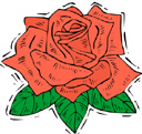 image Plants Roses