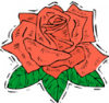 image  Plants Roses