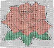 pattern Plants Roses