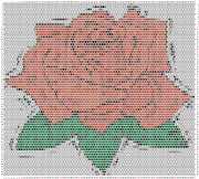 pattern Plants Roses