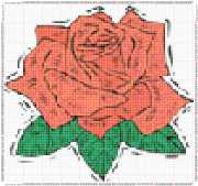 pattern Plants Roses