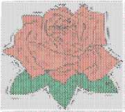 pattern Plants Roses