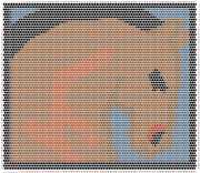 pattern Animals Horses