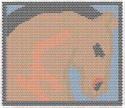 pattern Animals Horses