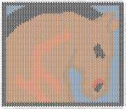 pattern Animals Horses