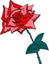 image Plants Roses