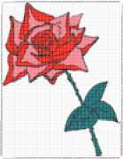 pattern Plants Roses