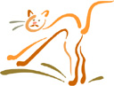 image Animals Cats