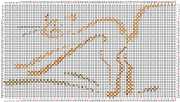 pattern Animals Cats