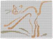 pattern Animals Cats