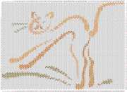 pattern Animals Cats