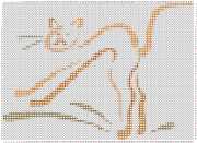 pattern Animals Cats