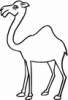 image  Animals Camels
