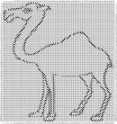 pattern Animals Camels