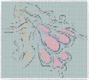 pattern People Women Animals Butterflies