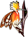 image Animals Birds