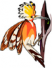 image  Animals Birds